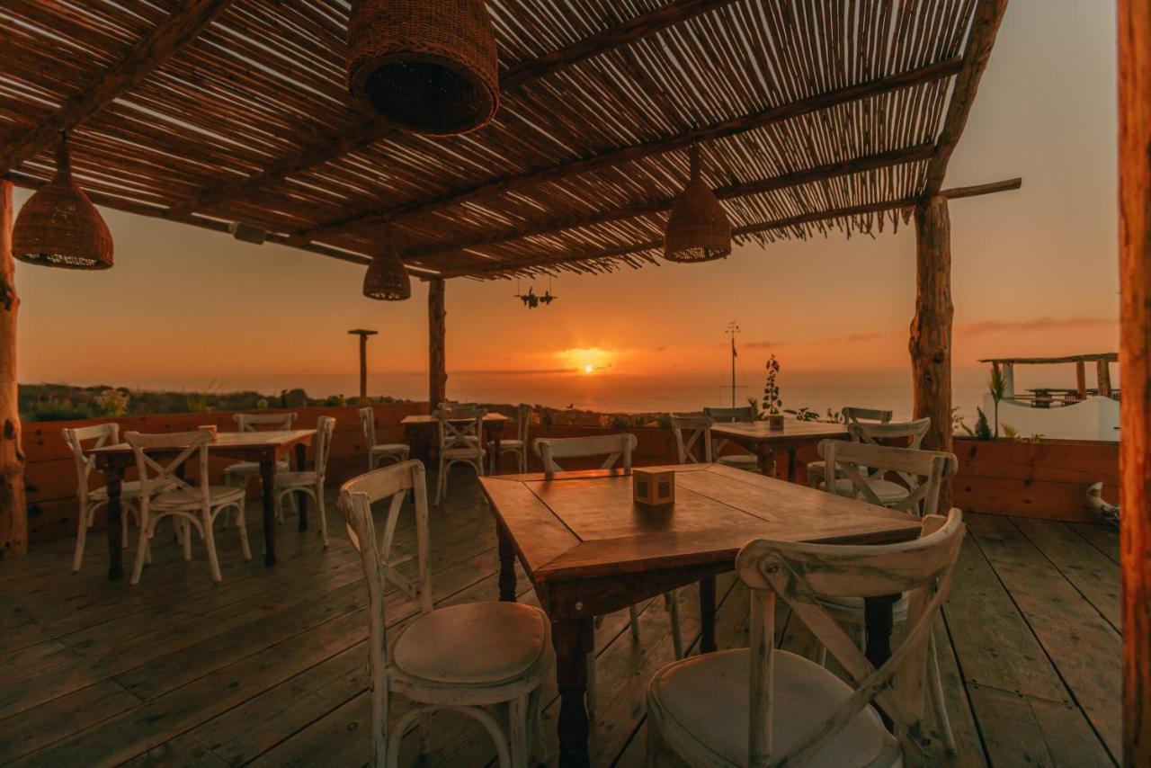 ホテル Nest Baja San José del Cabo エクステリア 写真