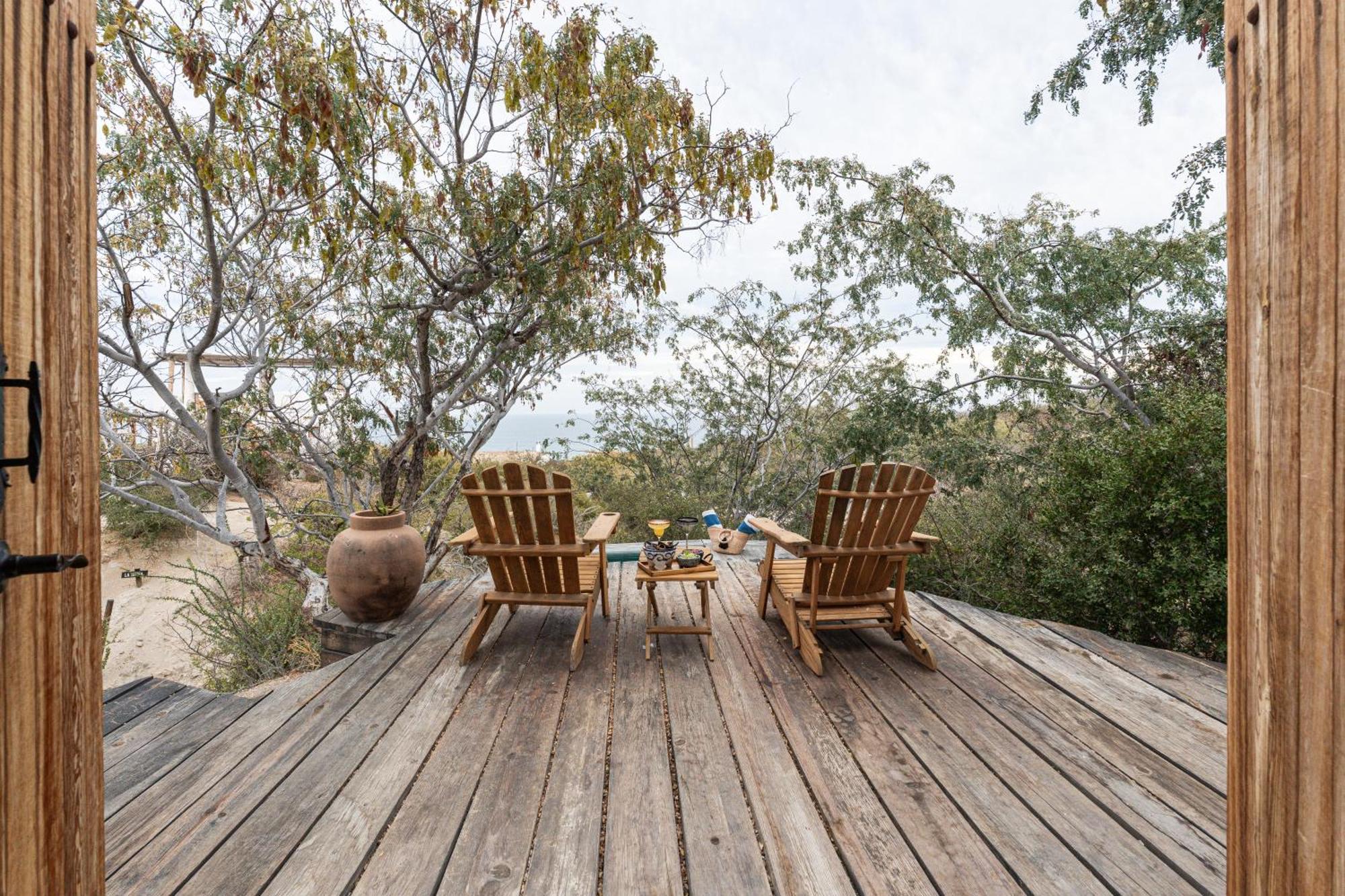 ホテル Nest Baja San José del Cabo エクステリア 写真