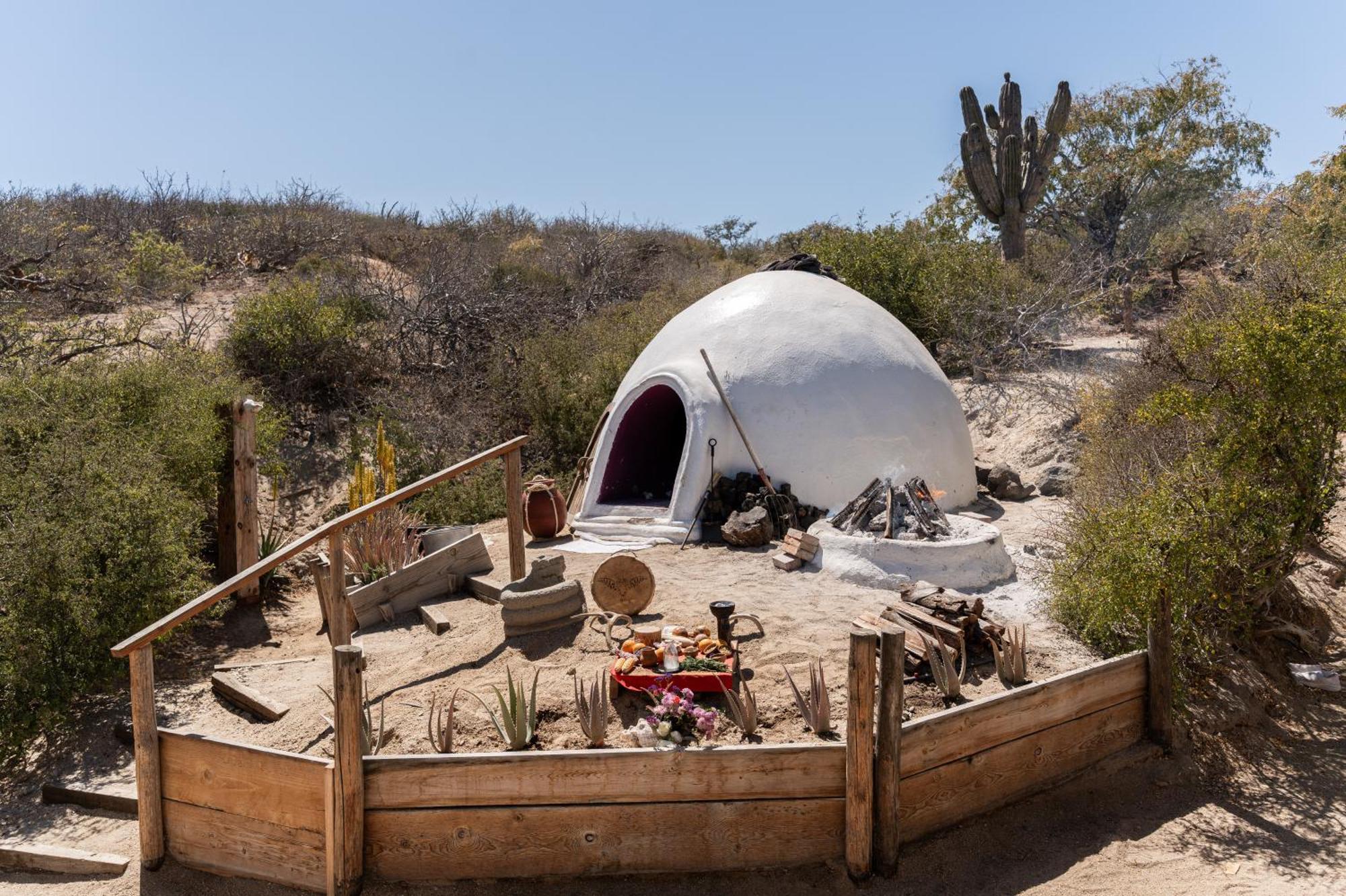 ホテル Nest Baja San José del Cabo エクステリア 写真